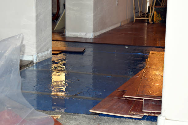 Professional Burst Pipe Cleanup technician working in Tellico Plains, TN